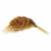 scud-shrimp olive